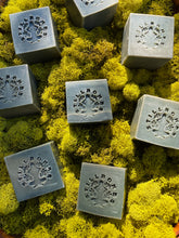 Load image into Gallery viewer, Woodland Soap Cube