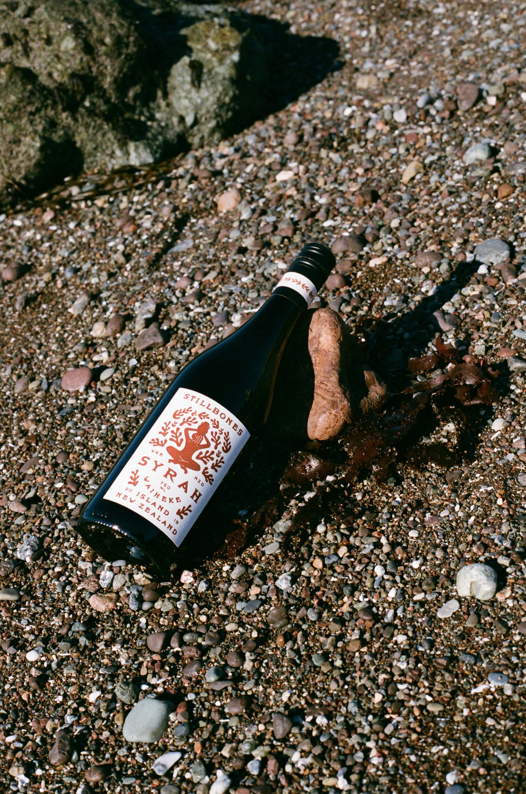 Syrah 2019